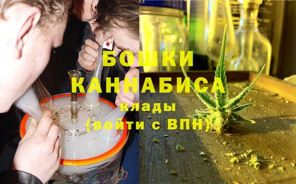 молекула духа Алексеевка