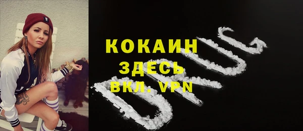 apvp Алзамай