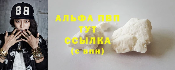 apvp Алзамай