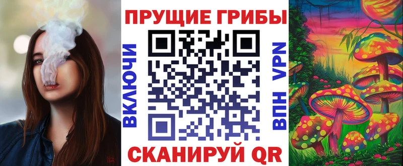 Галлюциногенные грибы Psilocybine cubensis  Муравленко 
