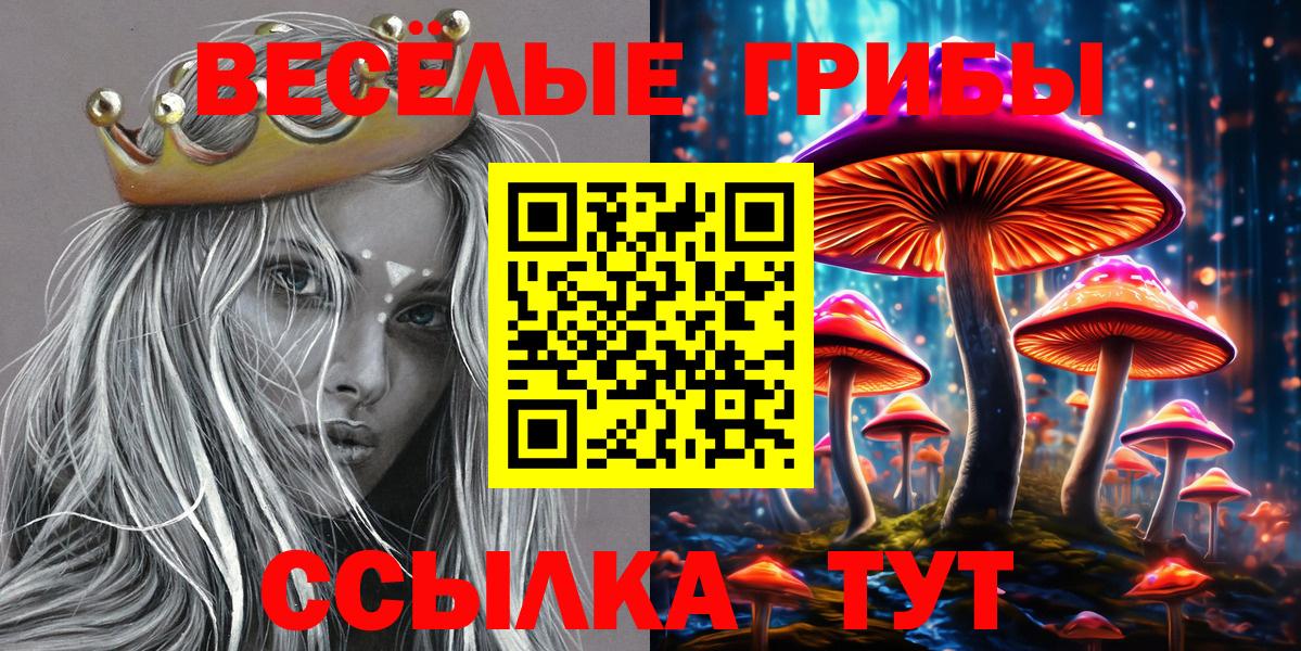 Галлюциногенные грибы Psilocybine cubensis Муравленко